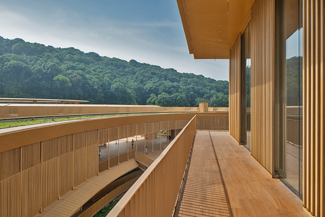 Bamboo Plywood
